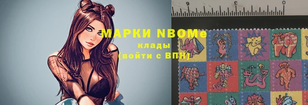 крисы Козельск