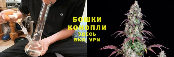 прущая мука Корсаков