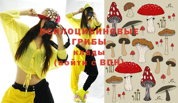 мдпв Киреевск